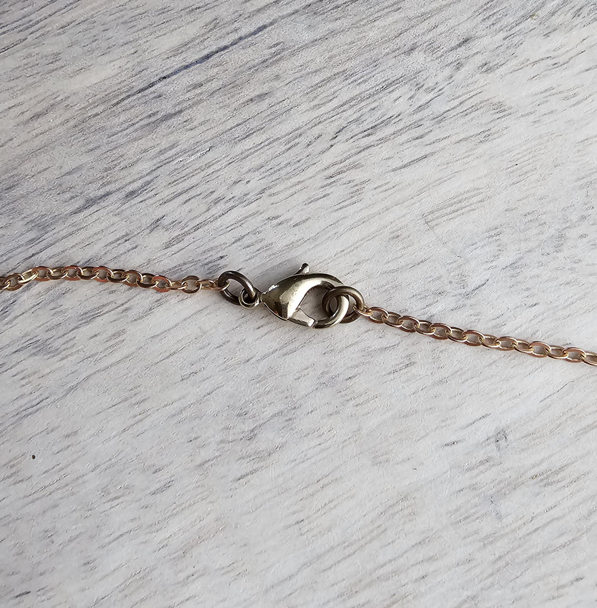 Chicken Coin Necklace, Crown Coin, Norway 2 Ore Moor Hen, Mint Dates Vary, Red Brass Cable Chain, Handmade Artisan Jewelry E. Ria Designs